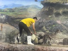 -福州罗源湾海洋世界旅游区