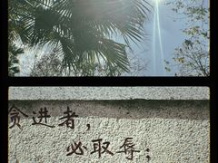 -水濂山森林公园