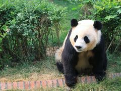 -五龙山野生动物王国