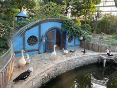 -南宫五洲植物乐园