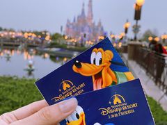 -上海迪士尼度假区