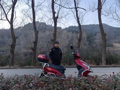 -王顺山国家森林公园