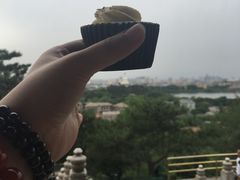 -3A07逆爱杯子蛋糕