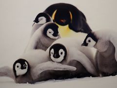 -罗红摄影艺术馆