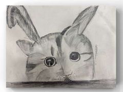 -学知乐教育·幼小衔接·小学科辅导(浦东外高桥森兰中心)