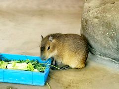 -宁波野生动物园