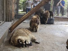 -西安秦岭野生动物园