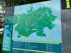 -火炉山森林公园