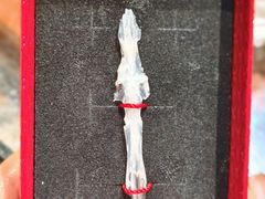 -土砂锅生态山庄·非遗砂锅雅鱼