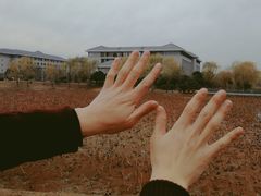 九曲桥-东南大学(九龙湖校区)