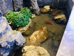 景观位-川锅一号火锅(铜山万达店)
