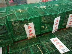 android_upload_pic-荔城生鲜盛宴(番禺旗舰店)