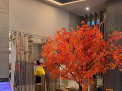 -新银座水汇(罗湖店)