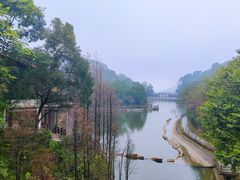 -广州市帽峰山景区
