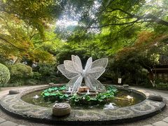 -杭州黄龙洞