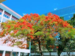 -香港科学馆