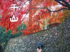 -莫干山风景区