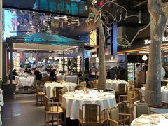 -桂满陇·海市蜃楼·黑金(国金店)