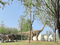 -西部长青自然儿童乐园