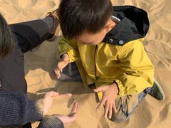 -青枫公园