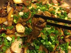 -老号尤兔头(幸福店)