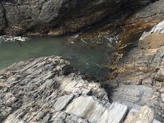 -盐洲岛