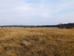 -塞罕坝国家级自然保护区