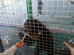 -泉州海丝野生动物世界