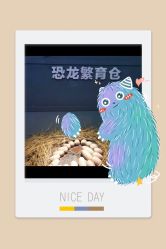 -恐龙探索乐园(磁器口店)