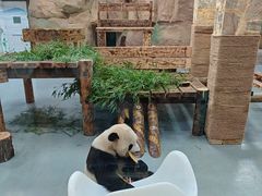 -无锡动物园·太湖欢乐园