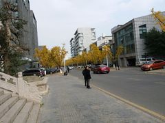 -龙潭水乡