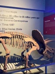 -恐龙探索乐园(磁器口店)