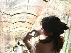 -英西峰林·洞天仙境