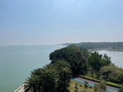 -大湾区中央湿地公园