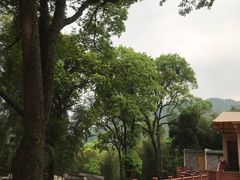 -大余丫山旅游度假区