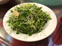 鲜桃仁豌豆苗-玉华台饭庄(裕中西里小区店)