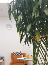 -天津伊美尔医疗整形美容专科医院