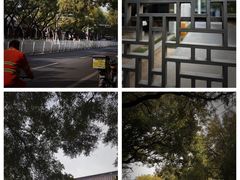 -北京国子监胡同