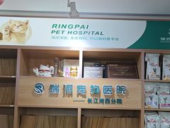 -瑞派长江宠物医院·猫科·外科·24小时夜护(谊城公寓分院)