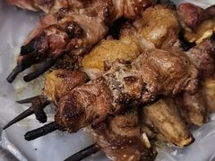-艾力江和田馕坑烤肉店