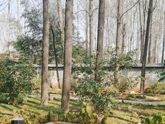 -林间山庄