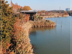 -昆山城市生态森林公园