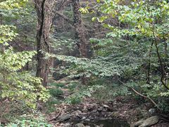 -素山寺森林公园