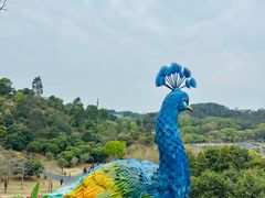 -东莞植物园