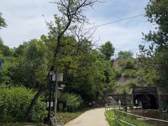 -白水寺森林公园