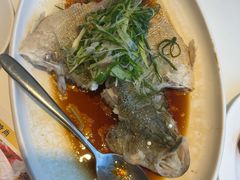 清蒸鲈鱼-至潮餐厅精致粤菜·活鲈鱼·走地鸡(珠江新城店)