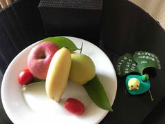 -重庆长寿碧桂园凤悦凤凰酒店