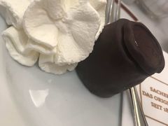 -Cafe Sacher(WIEN)