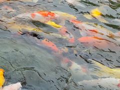 -扬州瘦西湖温泉