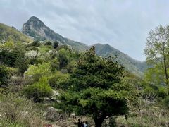 -秦岭终南山世界地质公园翠华山景区